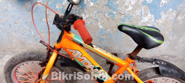বাইসাইকেল এভন পাঁচ থেকে দশ বছরের বাচ্চার জন্য